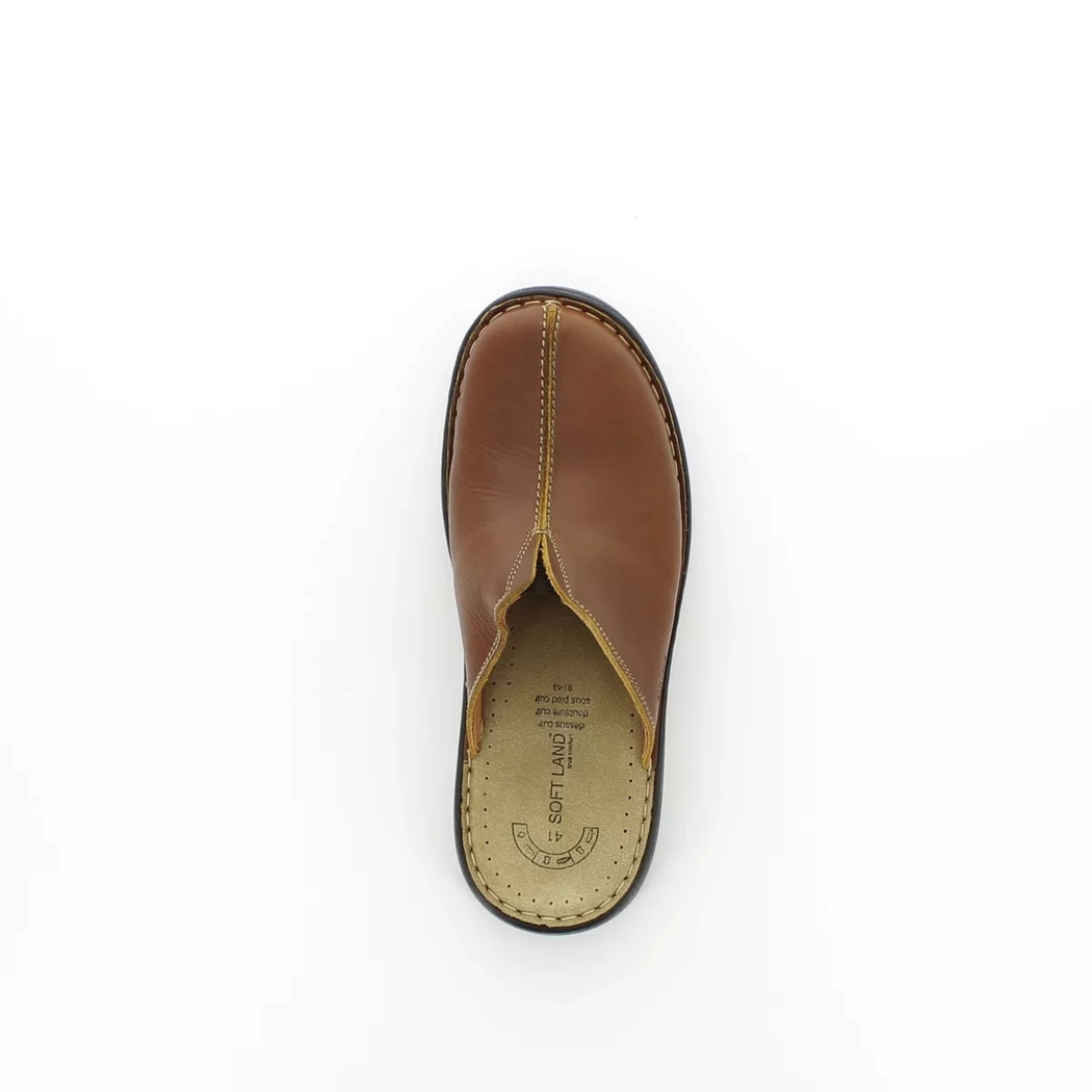 Image (6) de la chaussures Soft Land - Pantoufles et Chaussons Cuir naturel / Cognac en Cuir Image (6) de la chaussures Soft Land - Pantoufles et Chaussons Cuir naturel / Cognac en Cuir