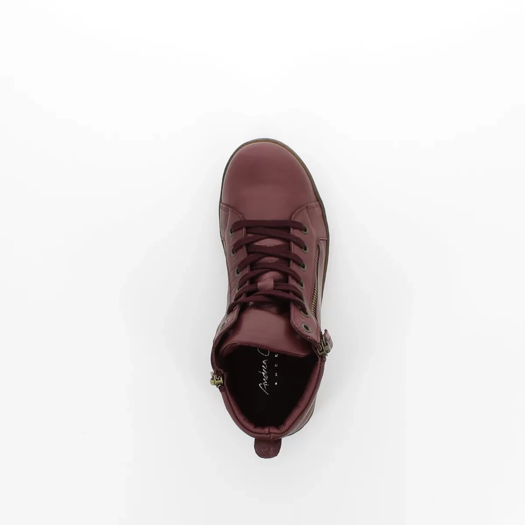 Image (6) de la chaussures Andrea Conti - Bottines Bordeaux en Cuir