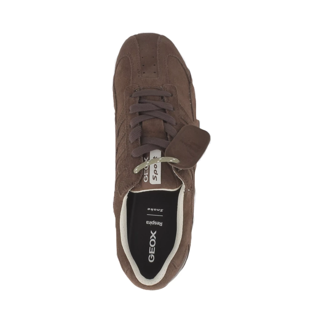 Image (6) de la chaussures Geox - Baskets Marron en Cuir nubuck