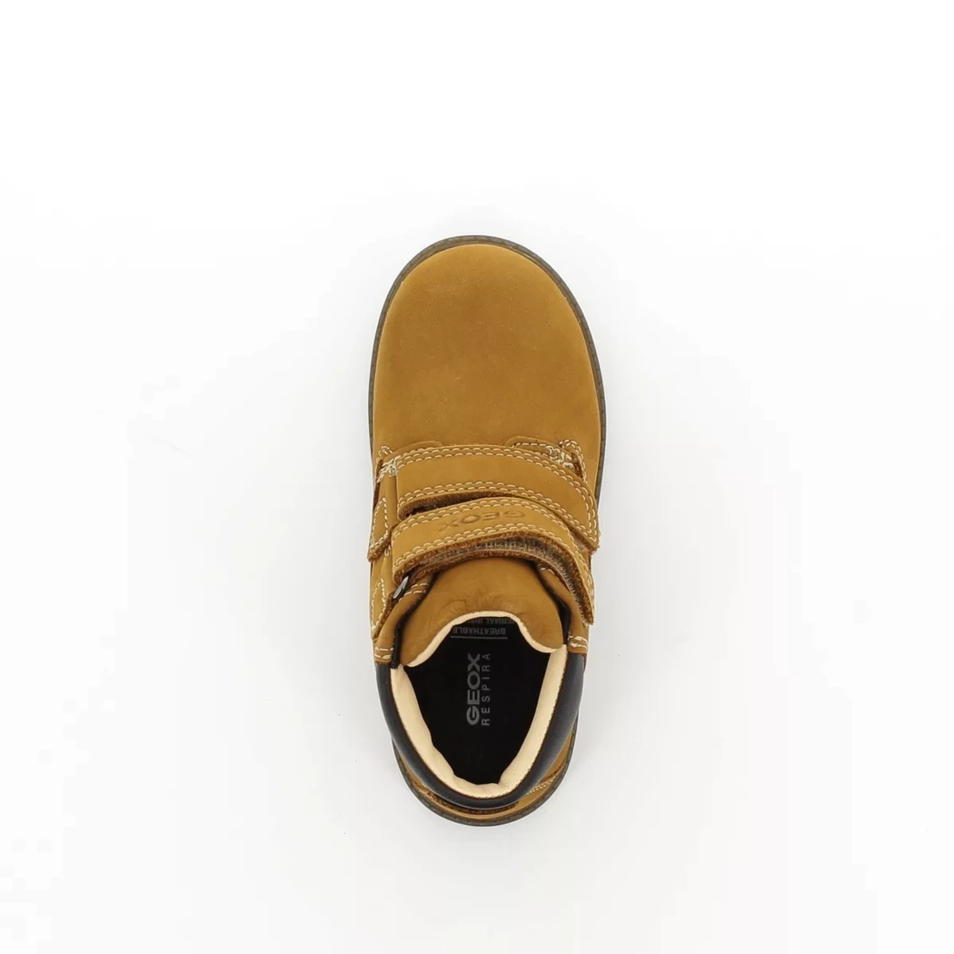 Image (6) de la chaussures Geox - Bottines Cuir naturel / Cognac en Cuir nubuck