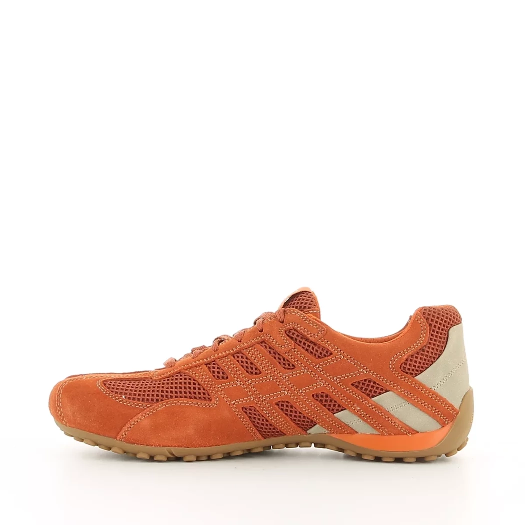 Image (4) de la chaussures Geox - Baskets Orange en Cuir nubuck