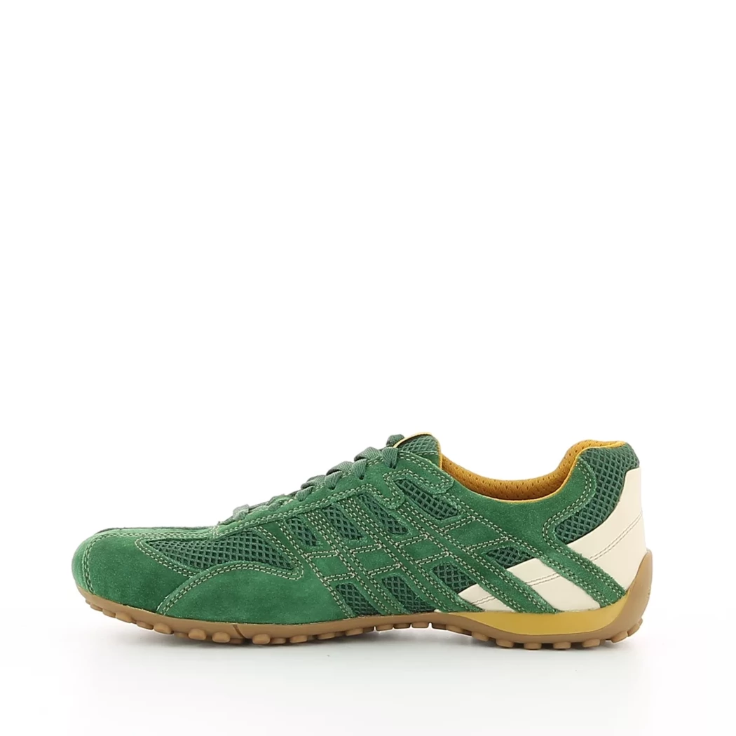 Image (4) de la chaussures Geox - Baskets Vert en Cuir nubuck