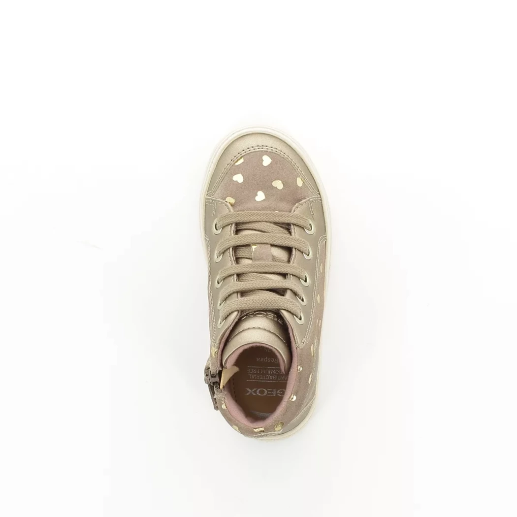 Image (6) de la chaussures Geox - Bottines Taupe en Cuir nubuck
