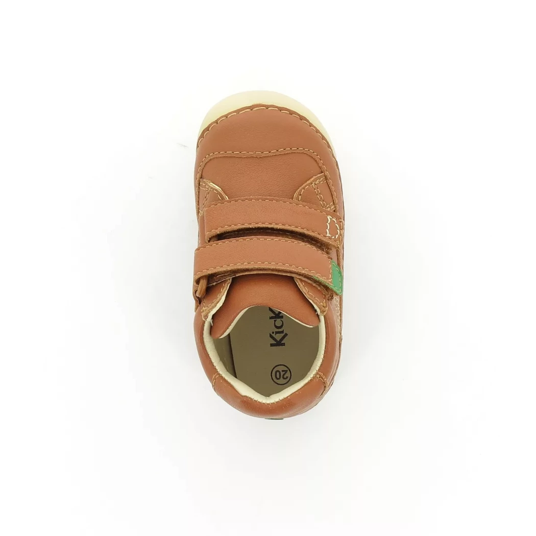 Image (6) de la chaussures Kickers - Bottines Cuir naturel / Cognac en Cuir