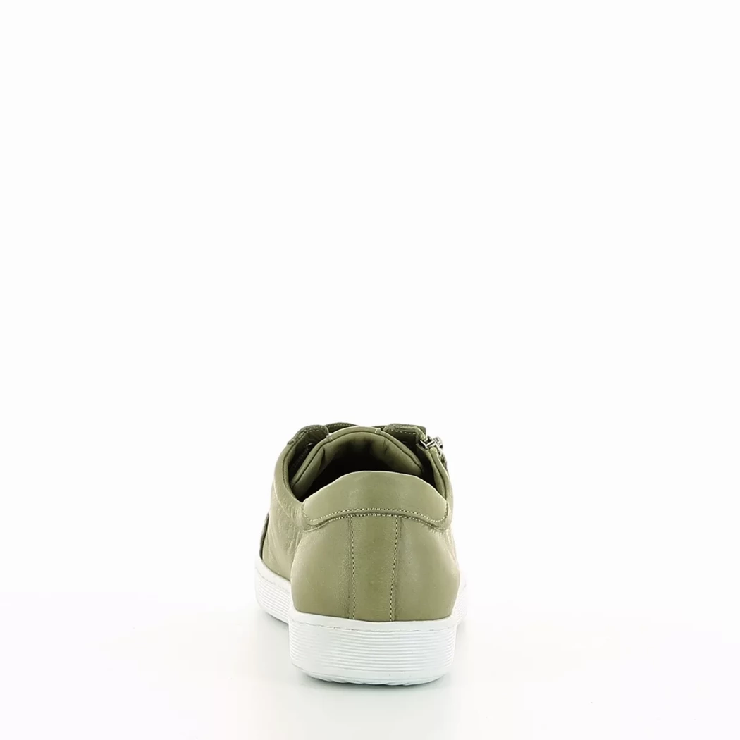 Image (3) de la chaussures Andrea Conti - Baskets Vert en Cuir