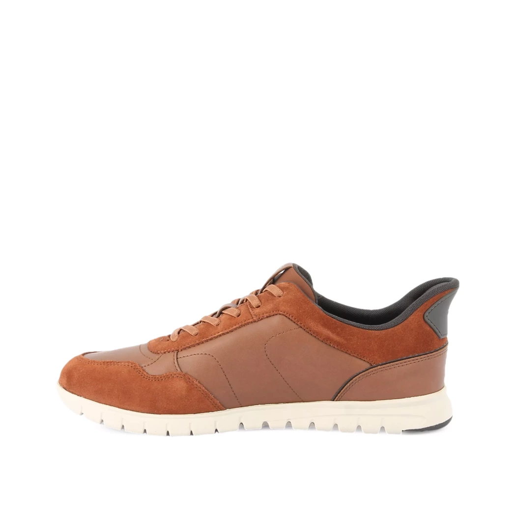 Image (4) de la chaussures Geox - Baskets Cuir naturel / Cognac en Cuir