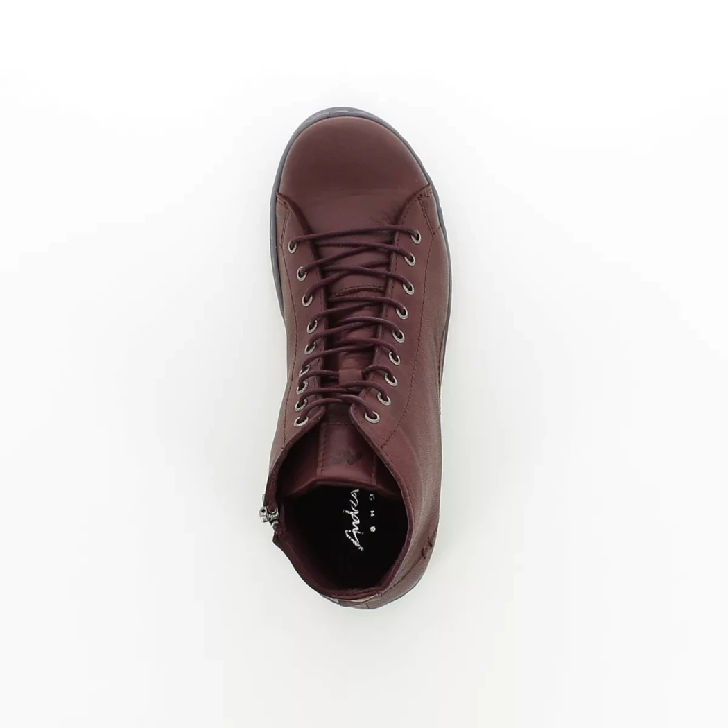 Image (6) de la chaussures Andrea Conti - Bottines Bordeaux en Cuir
