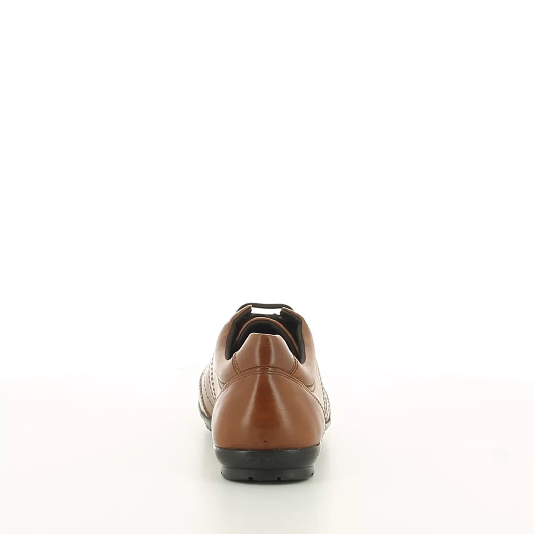 Image (3) de la chaussures Geox - Chaussures à lacets Cuir naturel / Cognac en Cuir