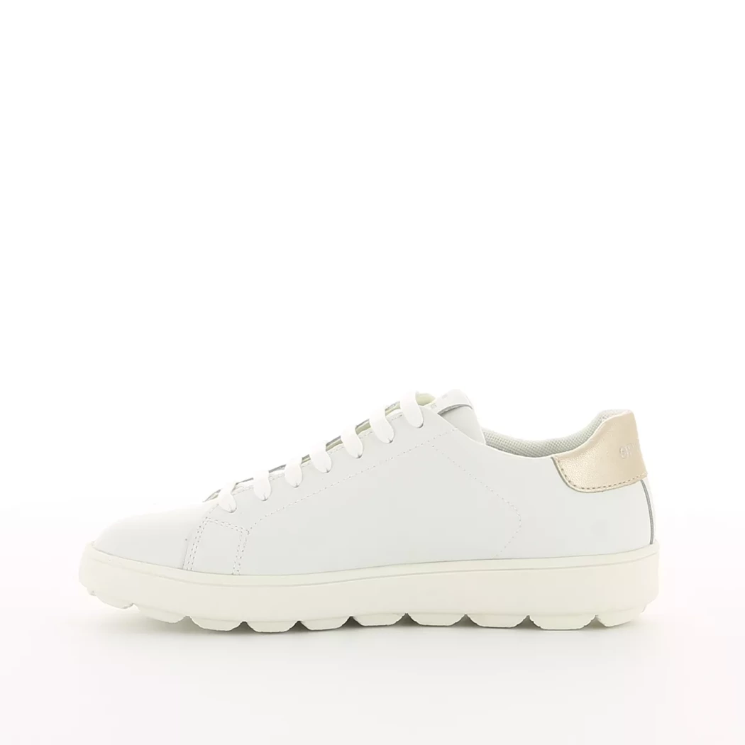 Image (4) de la chaussures Geox - Baskets Blanc en Cuir